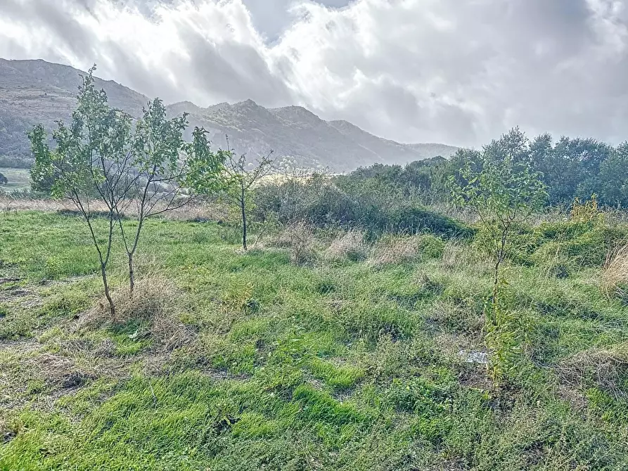 Immagine 10 di Rustico / casale in vendita  in CONTRADA corbatteria a San Martino D'agri