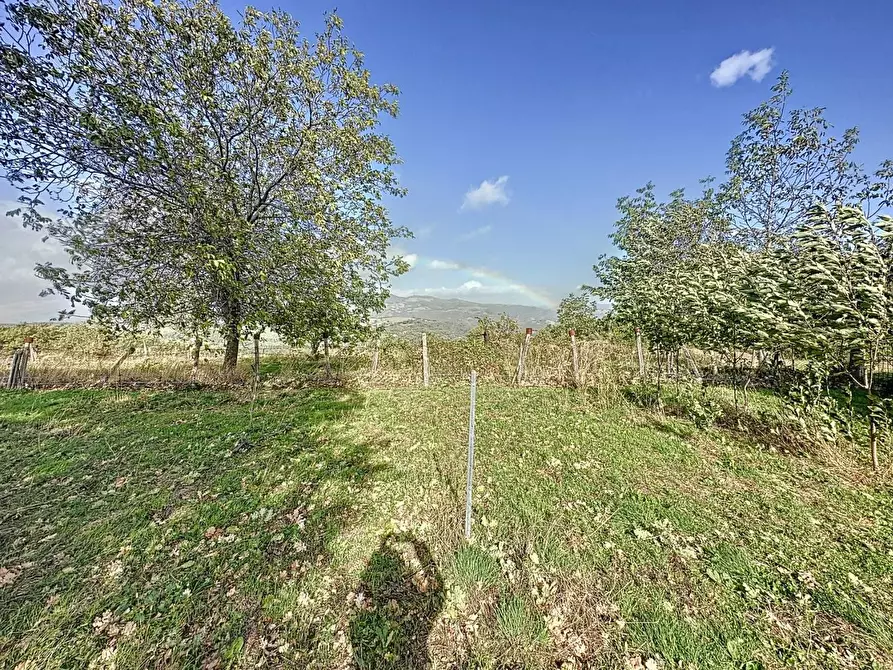 Immagine 13 di Rustico / casale in vendita  in CONTRADA corbatteria a San Martino D'agri