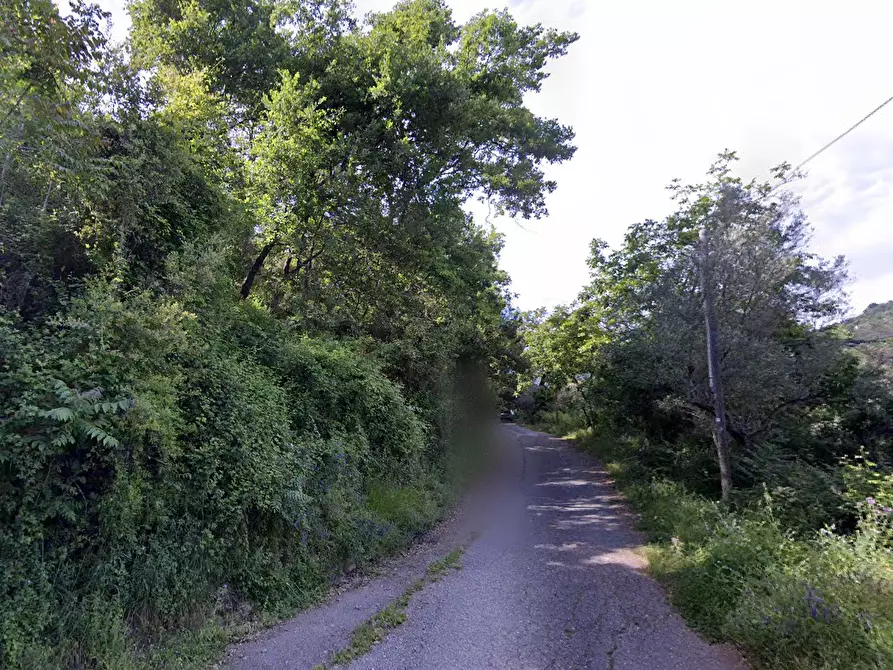 Immagine 2 di Terreno agricolo in vendita  in CONTRADA da casturi a Lamezia Terme