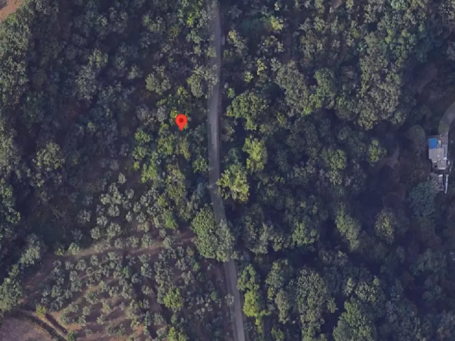 Immagine 3 di Terreno agricolo in vendita  in CONTRADA da casturi a Lamezia Terme