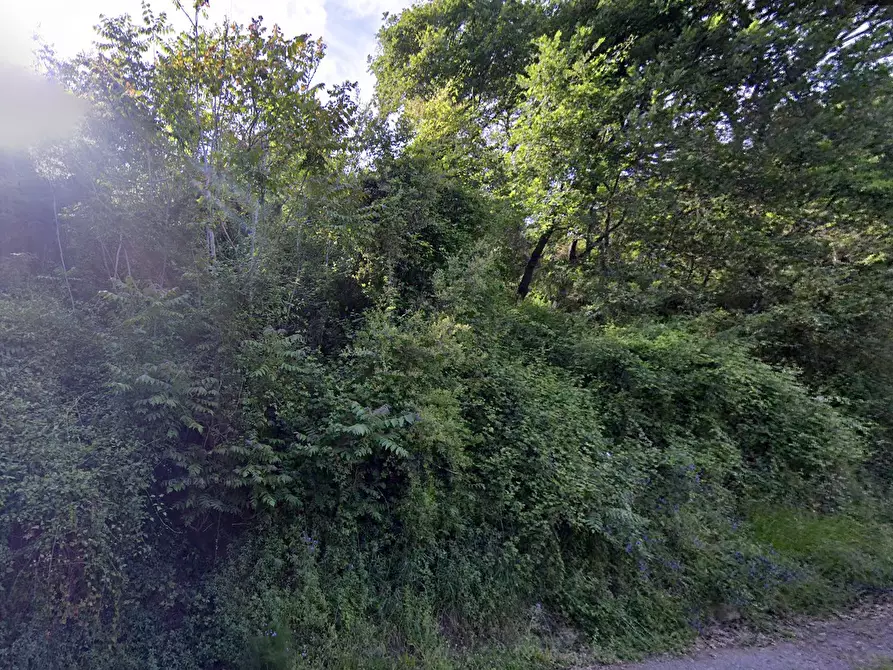 Immagine 4 di Terreno agricolo in vendita  in CONTRADA da casturi a Lamezia Terme