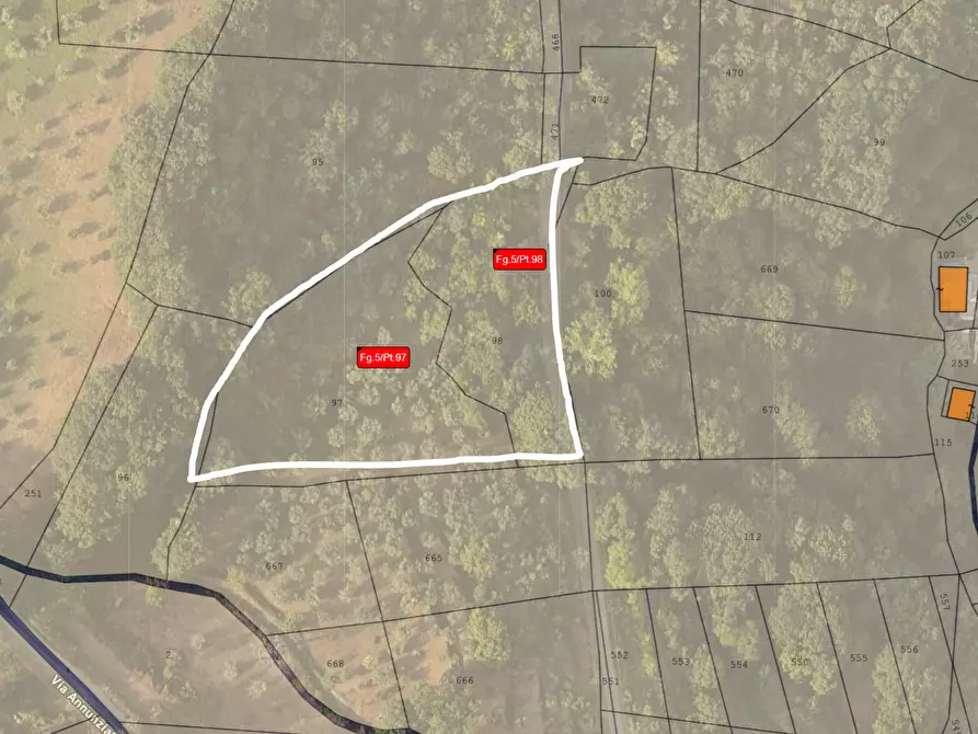 Immagine 5 di Terreno agricolo in vendita  in CONTRADA da casturi a Lamezia Terme