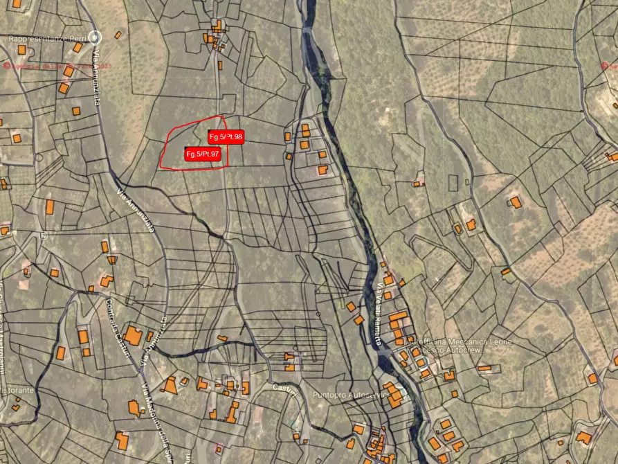 Immagine 6 di Terreno agricolo in vendita  in CONTRADA da casturi a Lamezia Terme