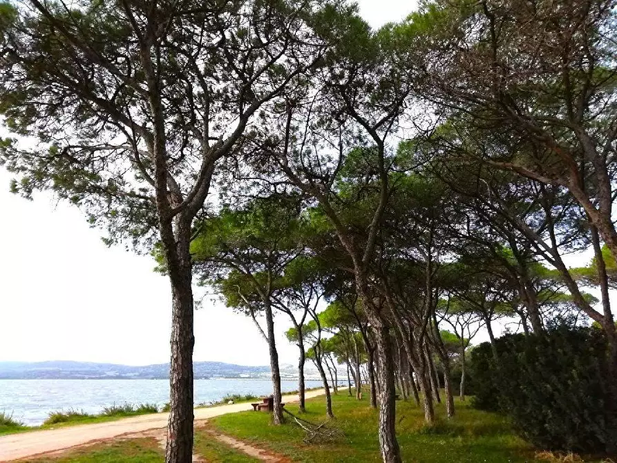 Immagine 27 di Casa bifamiliare in vendita  in VIA mar adriatico a Arbus