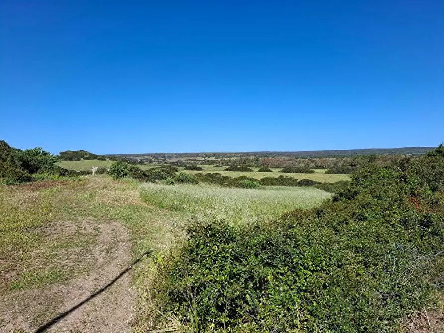 Immagine 29 di Casa bifamiliare in vendita  in VIA mar adriatico a Arbus