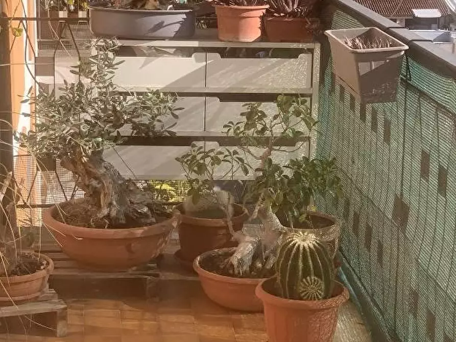 Immagine 15 di Appartamento in vendita  in VIA matteo  dominici 8 a Palermo