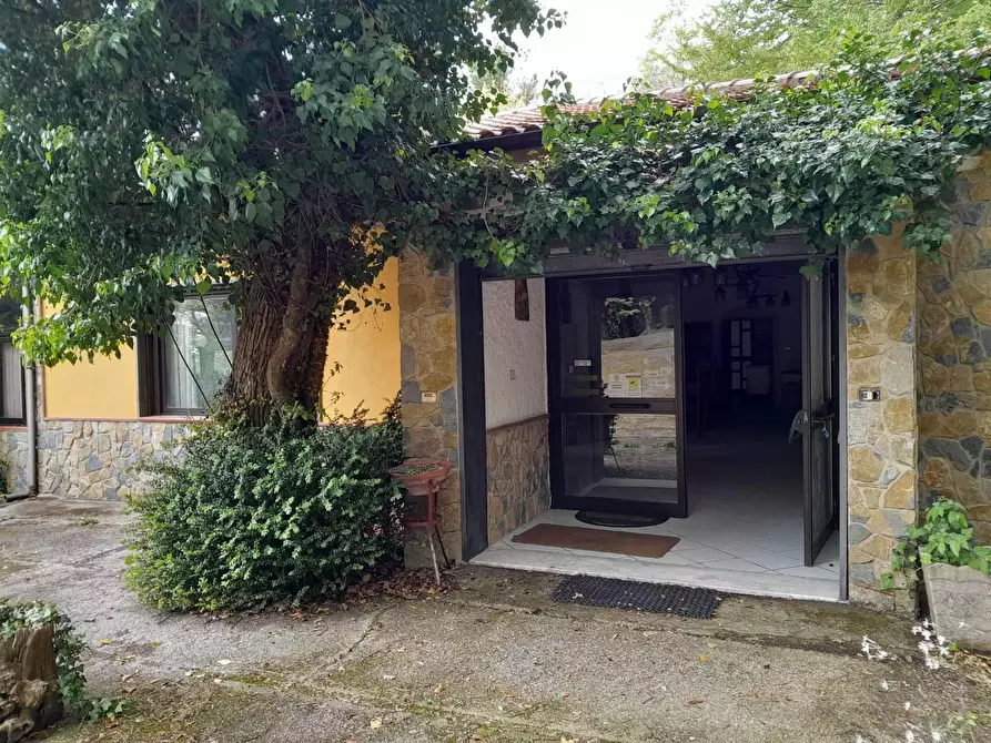 Immagine 3 di Bar / Ristorante in affitto  in VIA fontana secca a Trentinara