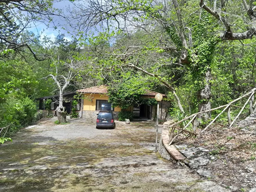 Immagine 7 di Bar / Ristorante in affitto  in VIA fontana secca a Trentinara