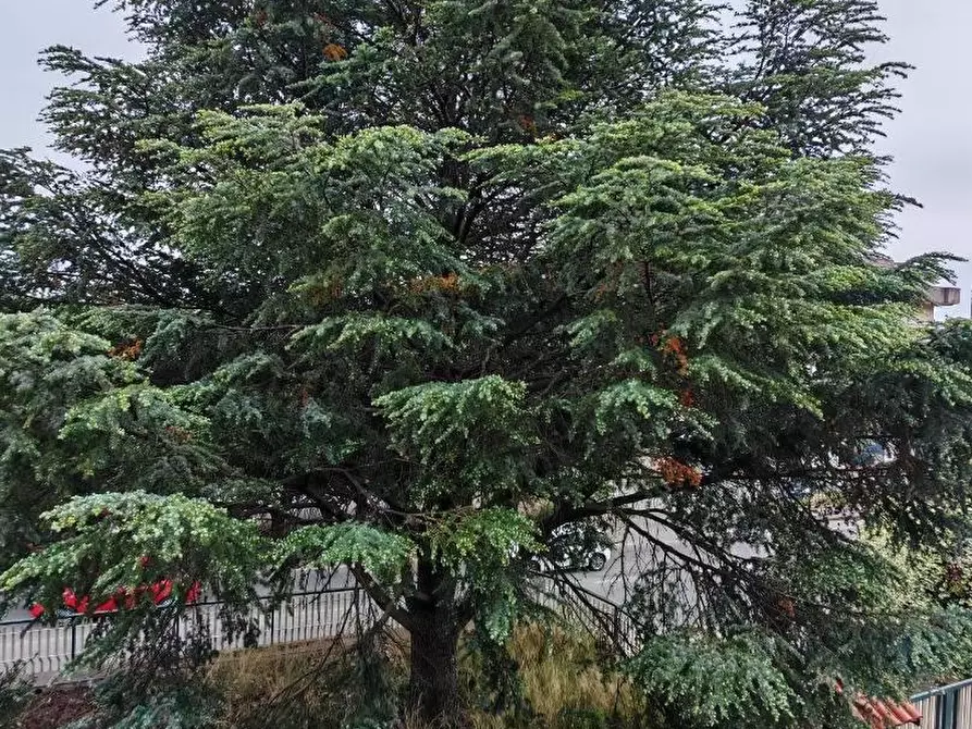 Immagine 5 di Casa indipendente in vendita  in VIA guglielmo   marconi a Lamezia Terme
