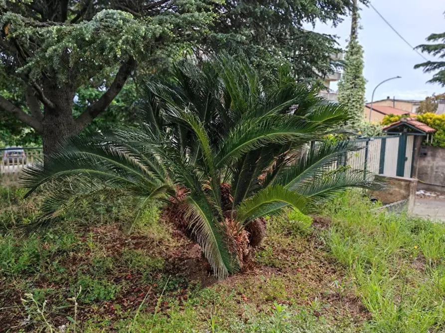 Immagine 6 di Casa indipendente in vendita  in VIA guglielmo   marconi a Lamezia Terme