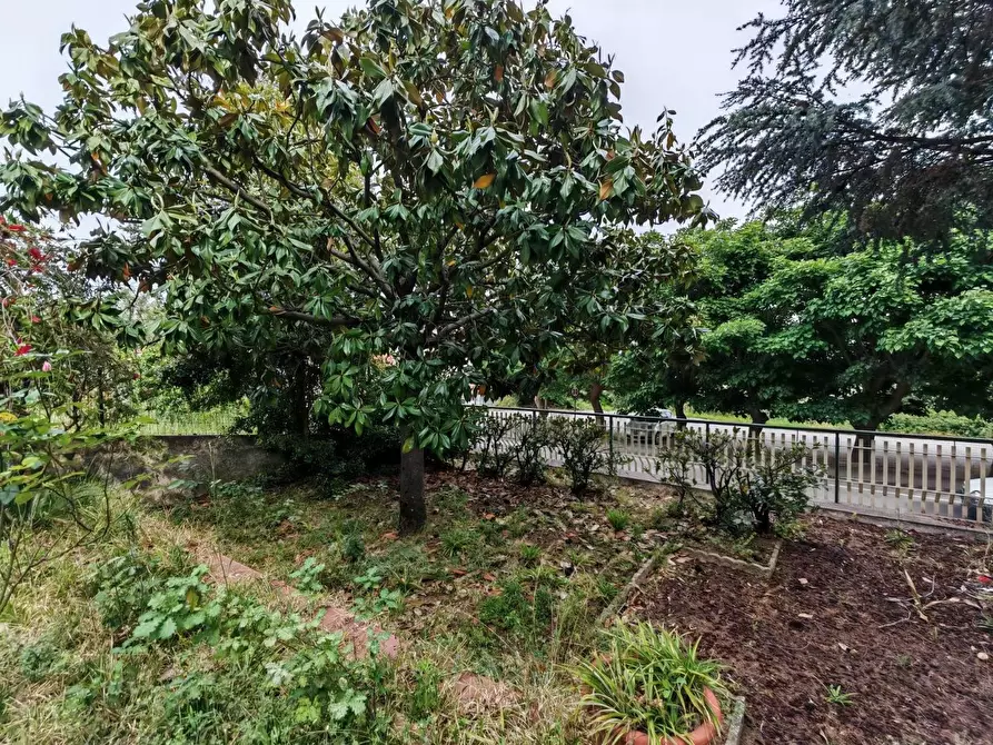 Immagine 7 di Casa indipendente in vendita  in VIA guglielmo   marconi a Lamezia Terme