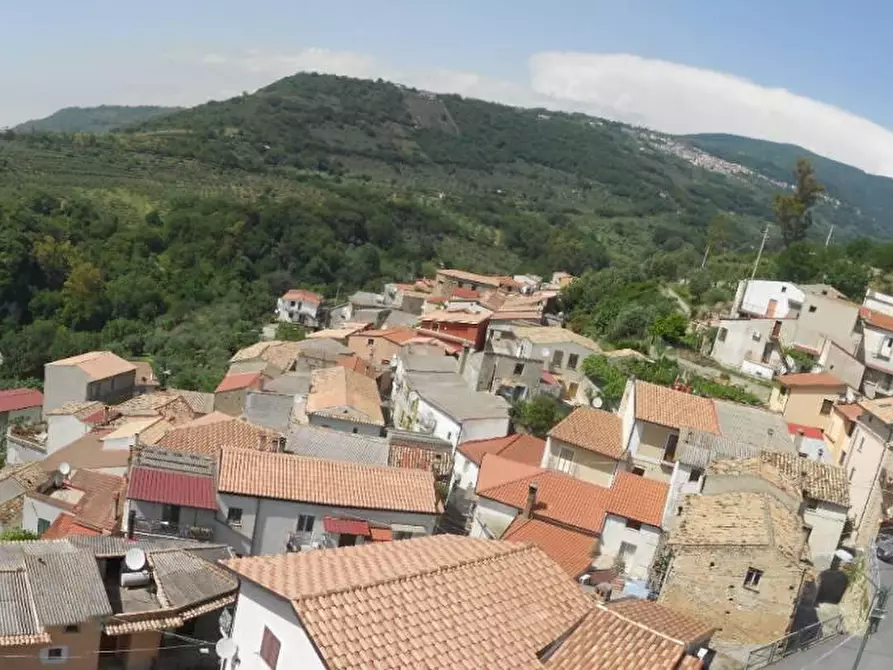 Immagine 2 di Terreno residenziale in vendita  in VIA madonna della scala a Falerna