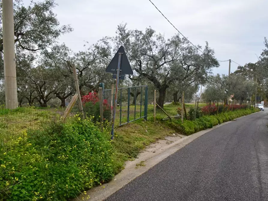 Immagine 7 di Terreno residenziale in vendita  in VIA madonna della scala a Falerna
