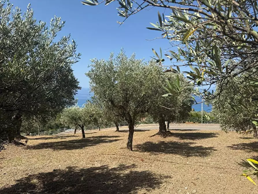 Immagine 14 di Terreno residenziale in vendita  in VIA madonna della scala a Falerna