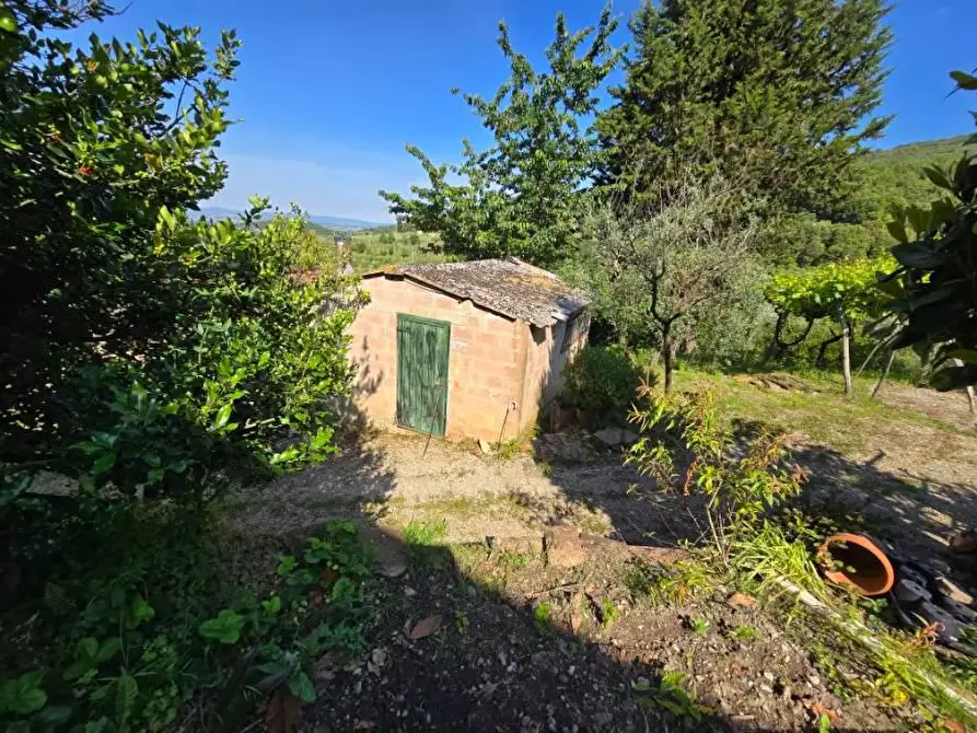 Immagine 15 di Casa indipendente in vendita  in LOCALITA'cozzano a Castiglion Fiorentino