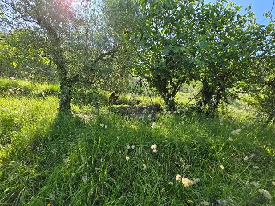 Immagine 24 di Casa indipendente in vendita  in LOCALITA'cozzano a Castiglion Fiorentino
