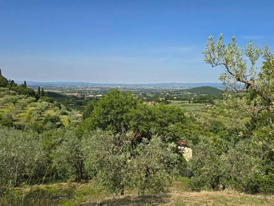 Immagine 30 di Casa indipendente in vendita  in LOCALITA'cozzano a Castiglion Fiorentino
