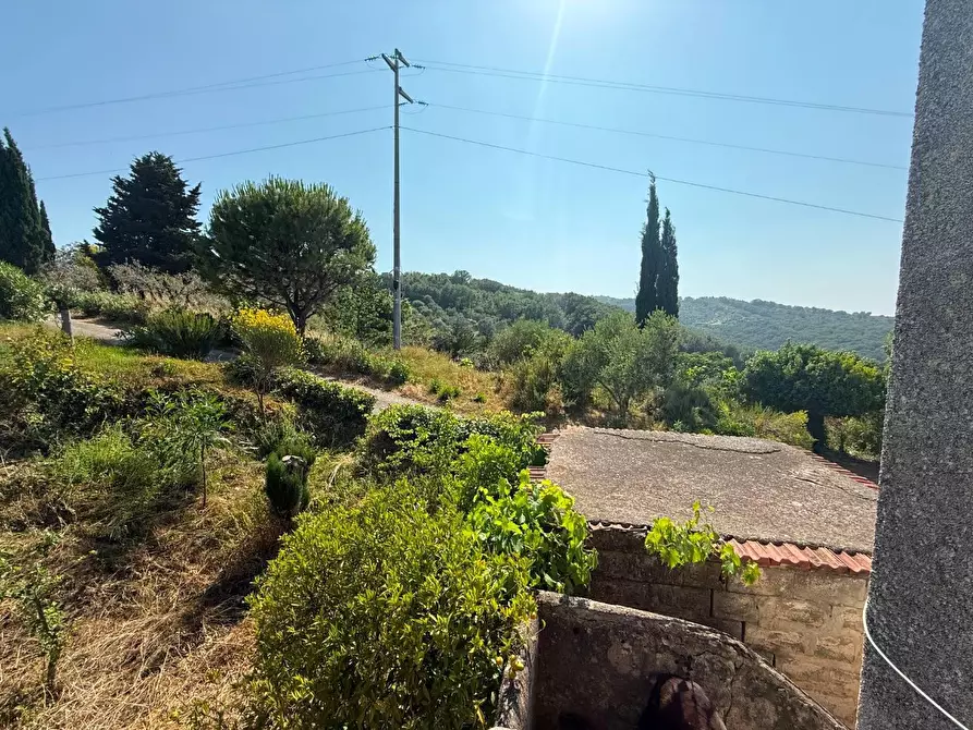 Immagine 11 di Casa indipendente in vendita  in CONTRADA capograssi a Altavilla Silentina