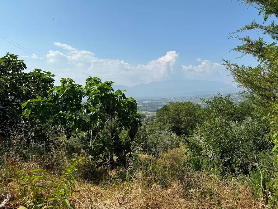 Immagine 12 di Casa indipendente in vendita  in CONTRADA capograssi a Altavilla Silentina