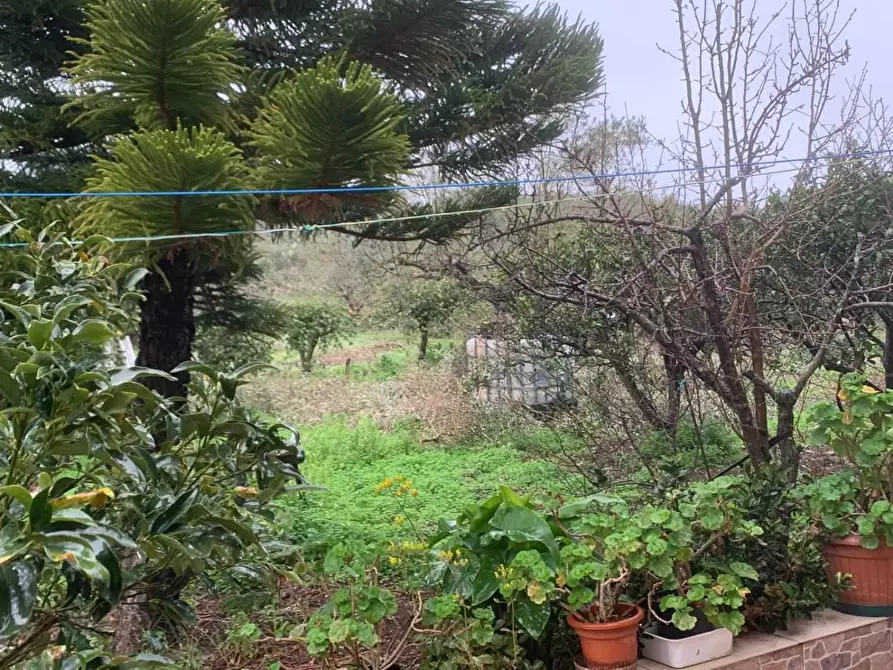 Immagine 26 di Villa in vendita  in CONTRADA valle corvo 23 a Casteldaccia