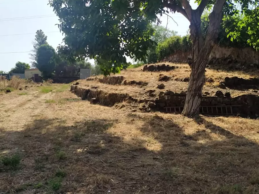 Immagine 3 di Terreno agricolo in vendita  in VIA loreto balatelle a Acireale