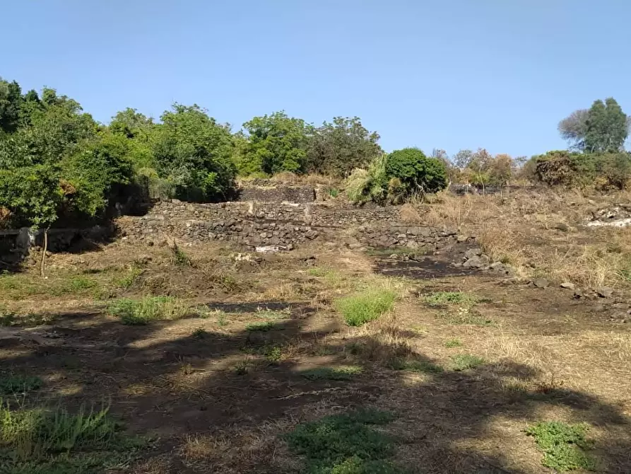 Immagine 6 di Terreno agricolo in vendita  in VIA loreto balatelle a Acireale