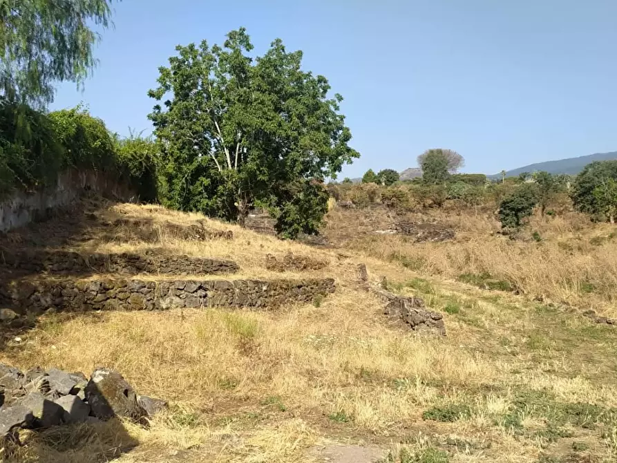 Immagine 7 di Terreno agricolo in vendita  in VIA loreto balatelle a Acireale