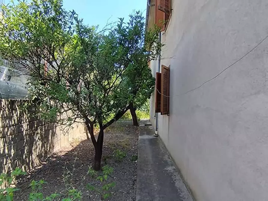 Immagine 4 di Villa in vendita  in VIA dei tigli a Francavilla Marittima