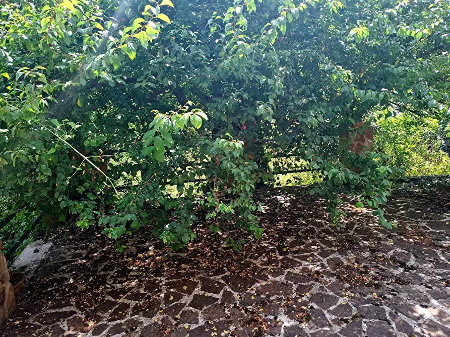 Immagine 23 di Terratetto in vendita  in VIA dei molini a Tagliacozzo