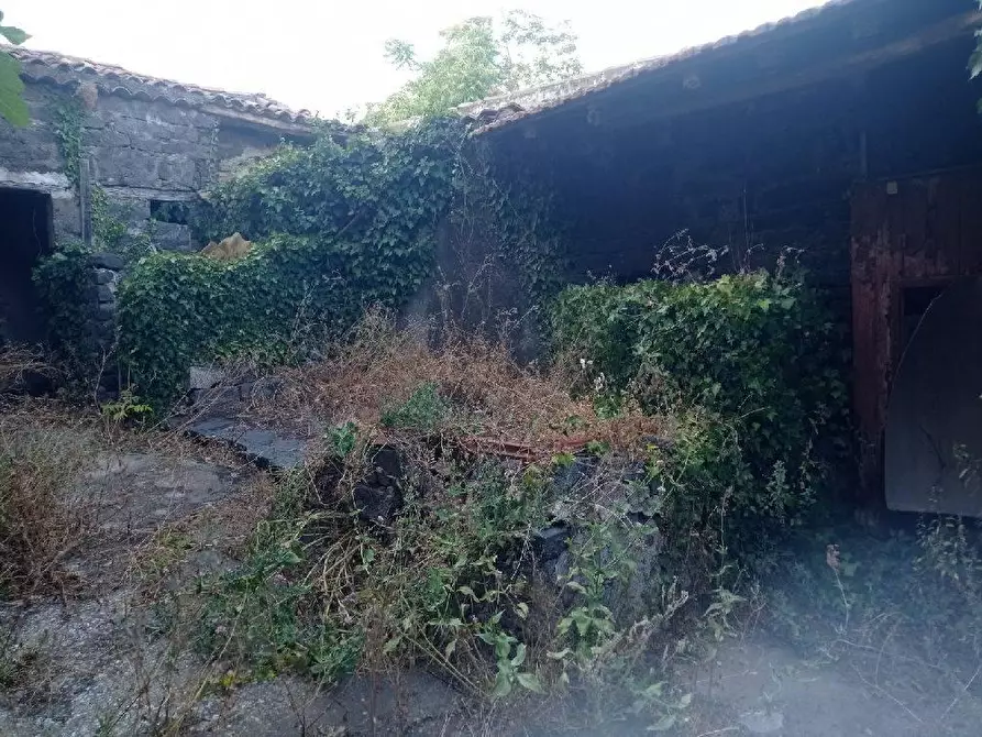 Immagine 5 di Casa indipendente in vendita  in VIA anselmi 34 a Nicolosi