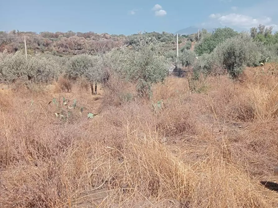 Immagine 2 di Terreno agricolo in vendita  in VIA camera a Belpasso