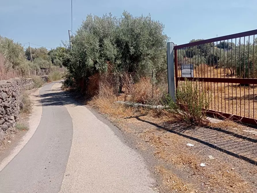 Immagine 3 di Terreno agricolo in vendita  in VIA camera a Belpasso