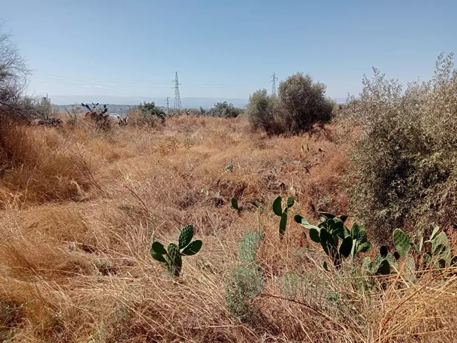 Immagine 4 di Terreno agricolo in vendita  in VIA camera a Belpasso