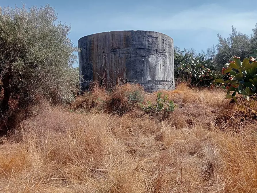Immagine 6 di Terreno agricolo in vendita  in VIA camera a Belpasso