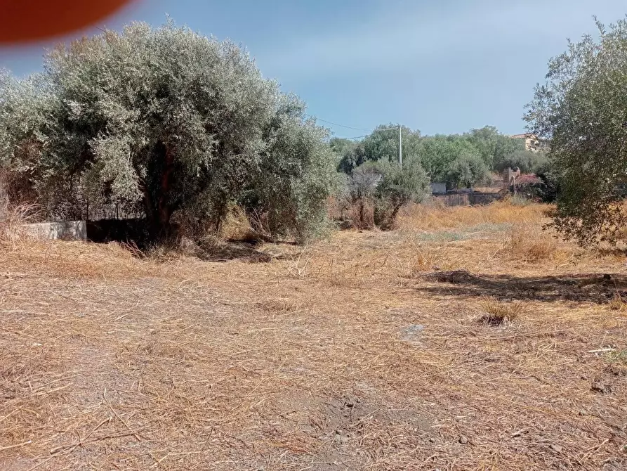 Immagine 7 di Terreno agricolo in vendita  in VIA camera a Belpasso