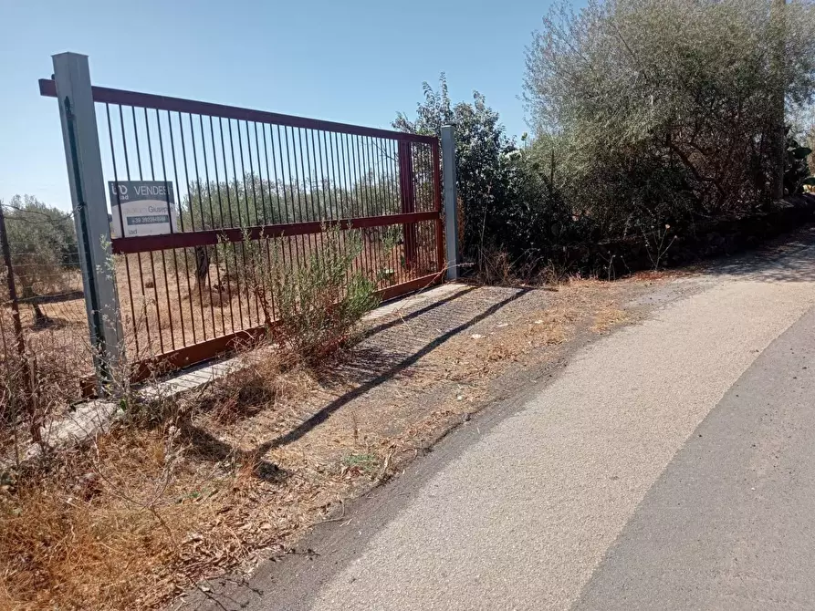 Immagine 1 di Terreno agricolo in vendita  in VIA camera a Belpasso
