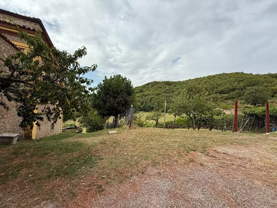 Immagine 18 di Villa in vendita  in ALTRO barletta 12 a San Chirico Raparo