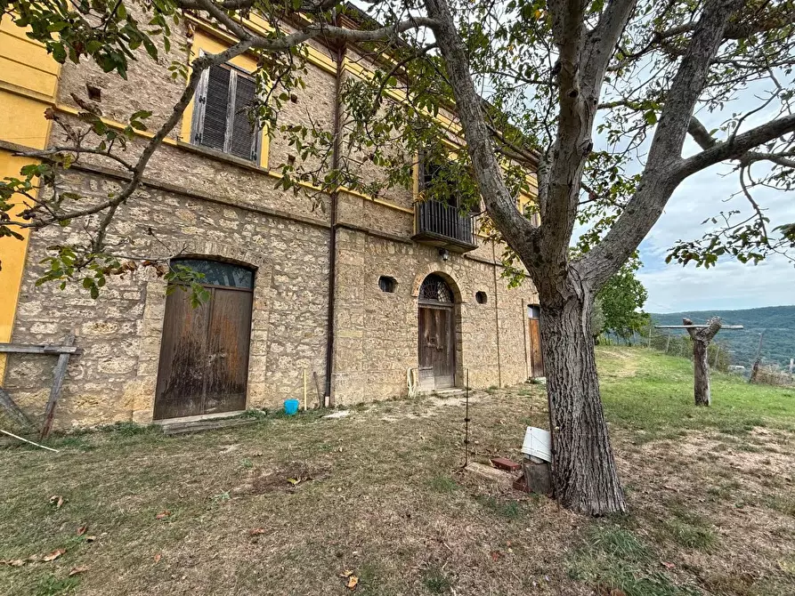 Immagine 22 di Villa in vendita  in ALTRO barletta 12 a San Chirico Raparo