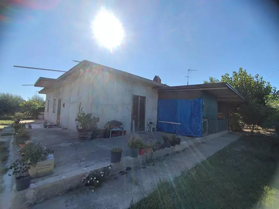 Immagine 26 di Casa indipendente in vendita  in CONTRADA da corsi a Cassano Allo Ionio