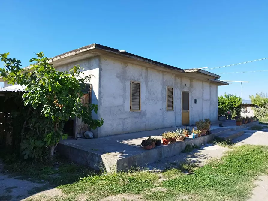Immagine 29 di Casa indipendente in vendita  in CONTRADA da corsi a Cassano Allo Ionio