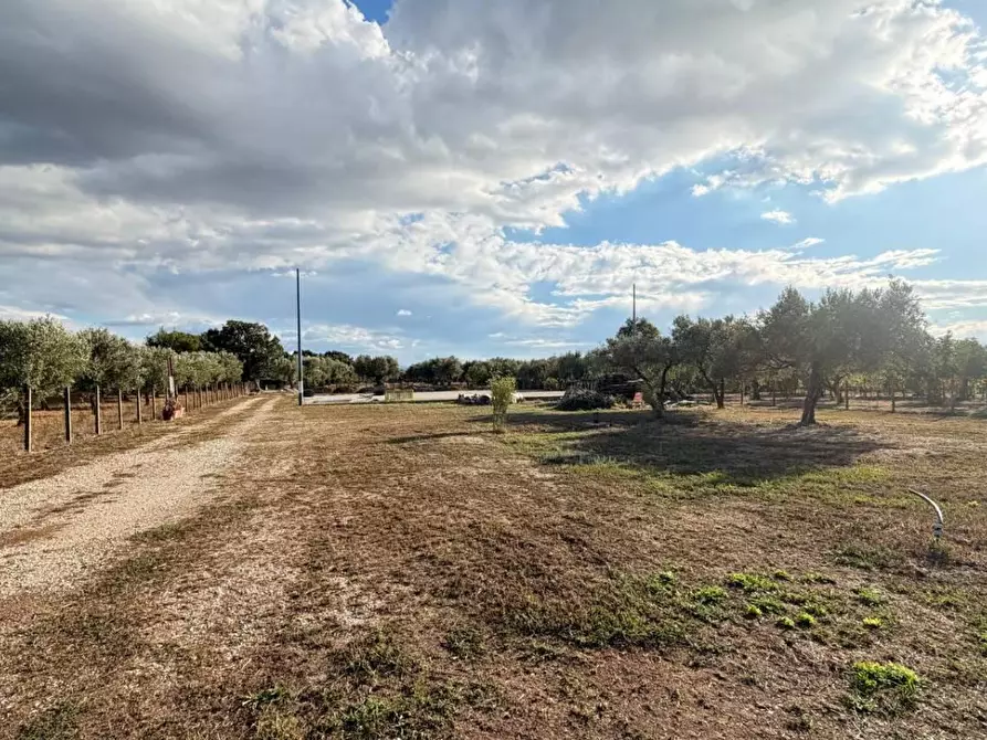 Immagine 2 di Terreno agricolo in vendita  in CONTRADA carrÃ  a Lamezia Terme