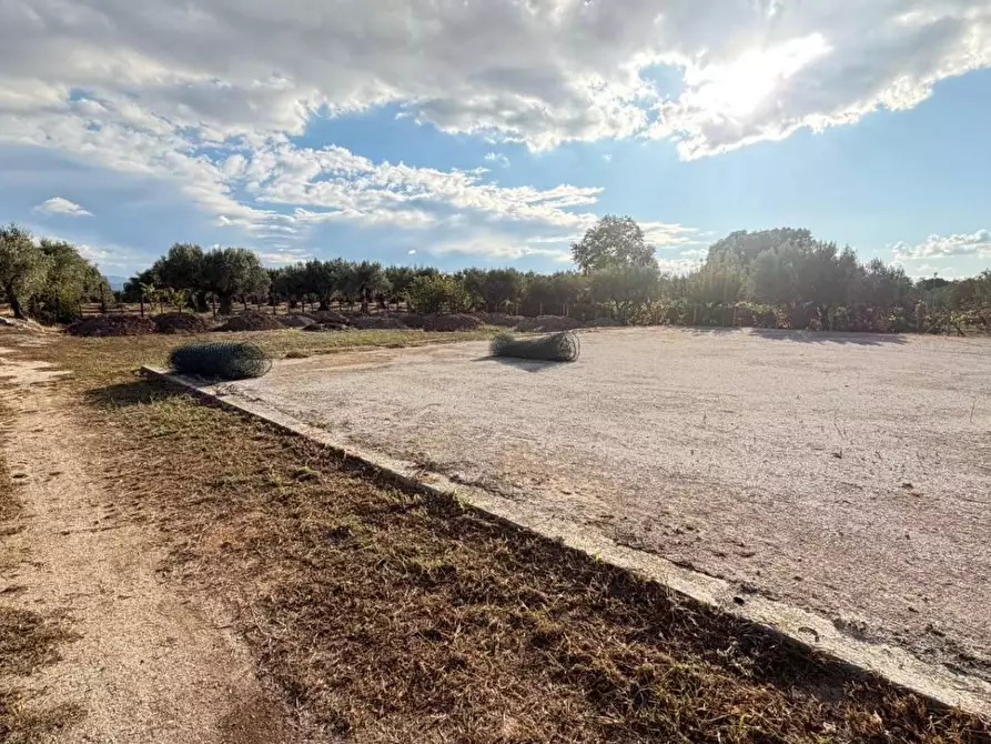 Immagine 3 di Terreno agricolo in vendita  in CONTRADA carrÃ  a Lamezia Terme