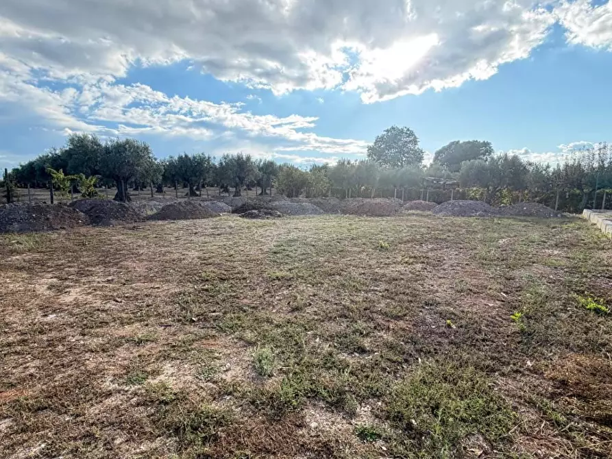 Immagine 4 di Terreno agricolo in vendita  in CONTRADA carrÃ  a Lamezia Terme