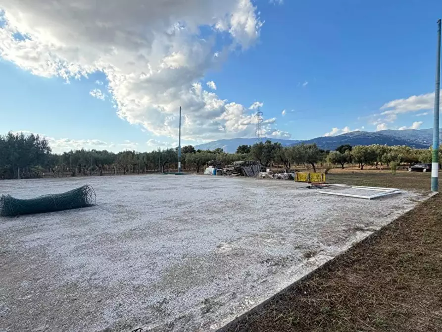 Immagine 5 di Terreno agricolo in vendita  in CONTRADA carrÃ  a Lamezia Terme