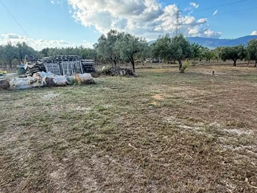 Immagine 6 di Terreno agricolo in vendita  in CONTRADA carrÃ  a Lamezia Terme