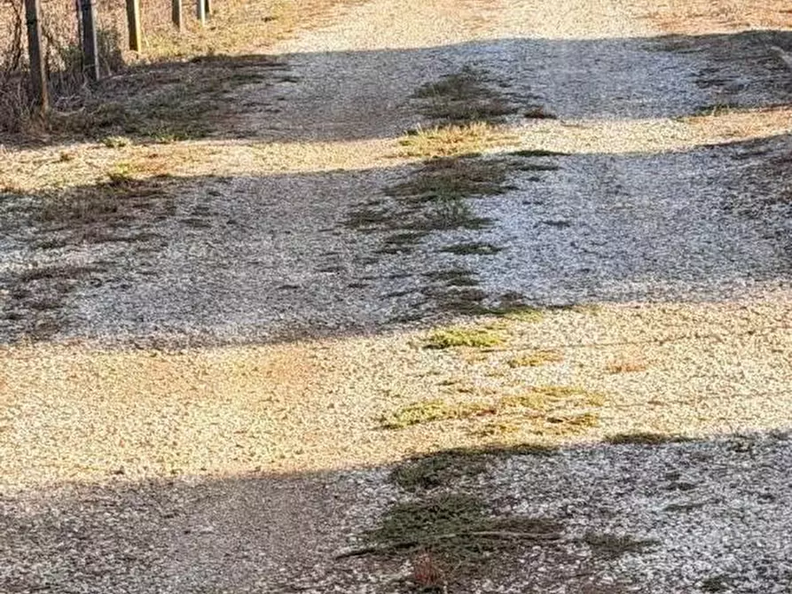 Immagine 7 di Terreno agricolo in vendita  in CONTRADA carrÃ  a Lamezia Terme