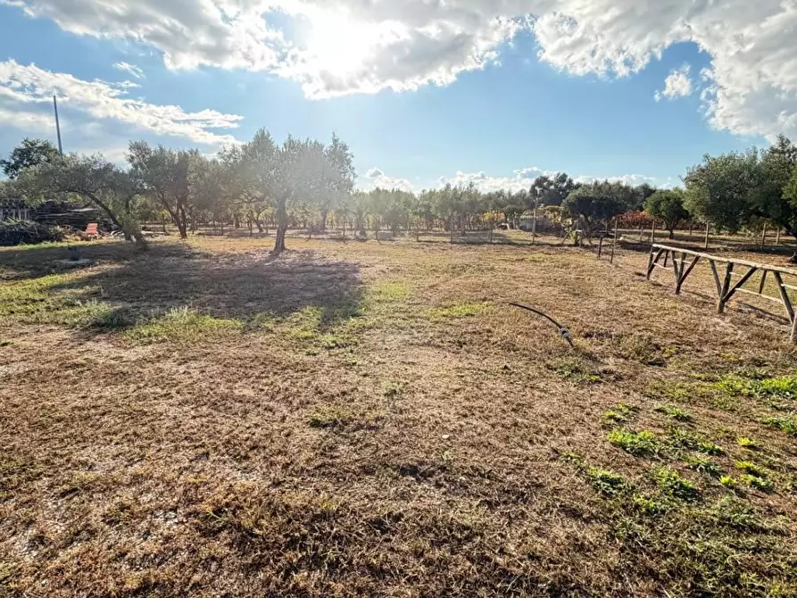 Immagine 1 di Terreno agricolo in vendita  in CONTRADA carrÃ  a Lamezia Terme