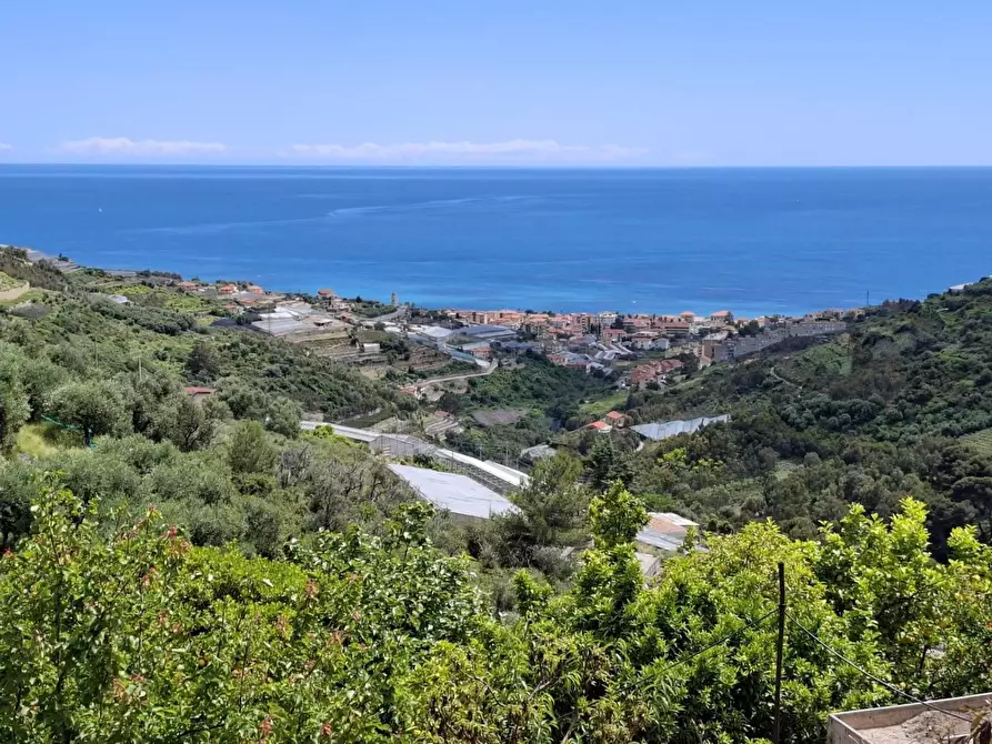 Immagine 2 di Terreno residenziale in vendita  in LOCALITA'poggio a Castellaro