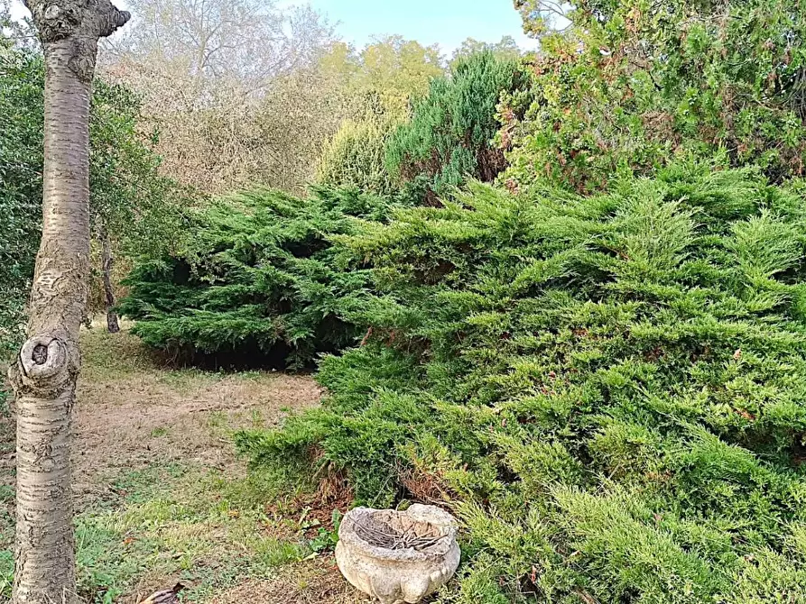 Immagine 10 di Terreno agricolo in vendita  in ALTRO pralungo a La Cassa
