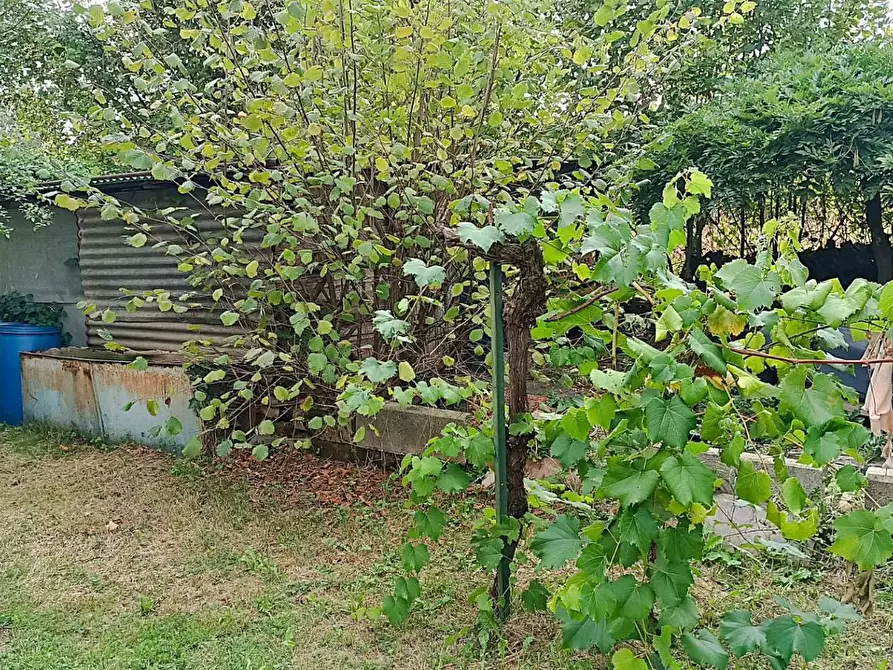 Immagine 11 di Terreno agricolo in vendita  in ALTRO pralungo a La Cassa